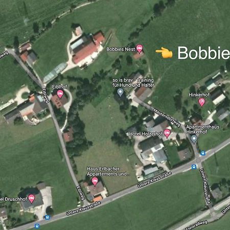 Вилла Bobbies Nest Шладминг Экстерьер фото